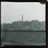 Böhl glass slide 21./663